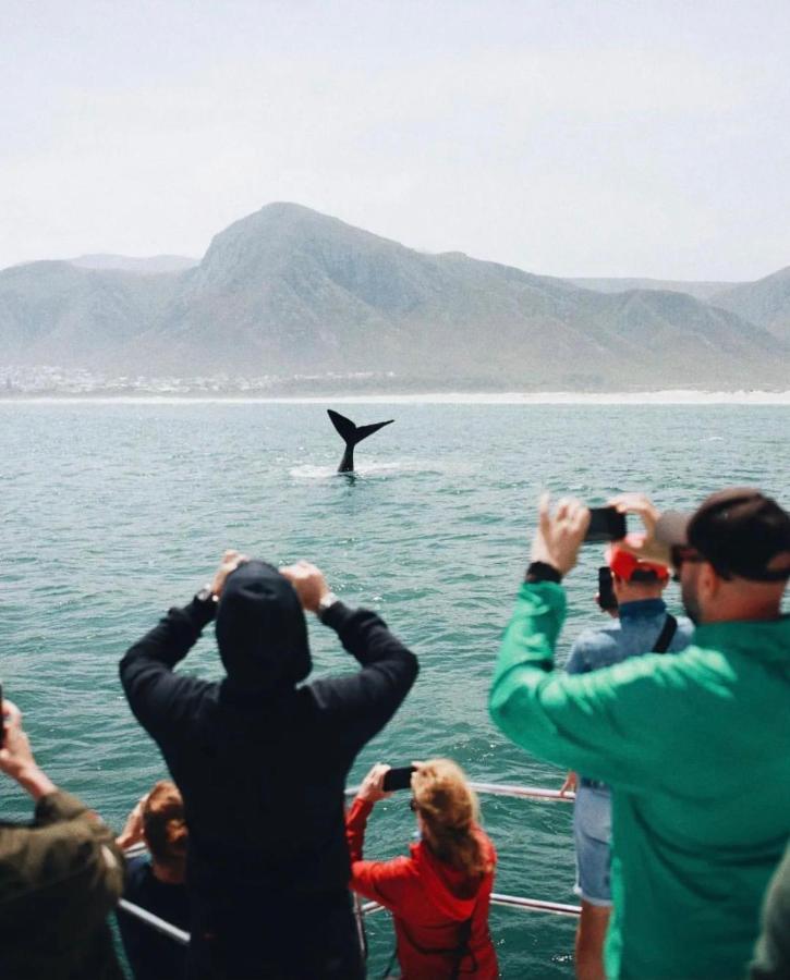 Hermanus Whale Cottage 外观 照片